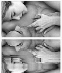 amour
